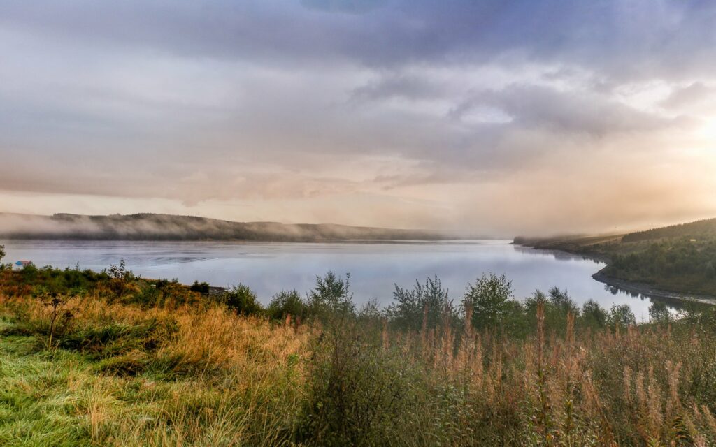 Join Our Team @ Kielder Forest